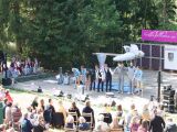 Heideblütenfest in Amelingenhausen (24.08.2014)